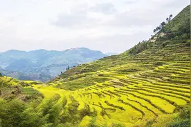 浙江福建交界处的还藏着个小西藏？还是中国生态第一县视频封面