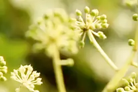 怎样在旅游途中拍出美美的风景，拒绝游客照？