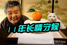 这只小猫用一辈子守候了老奶奶11年！图片