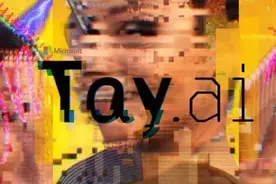 人工智能少女堕落记- Tay昙花的一生图片