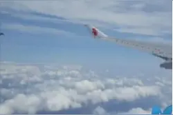 习主席抵达布拉格 捷克战机升空护航图片