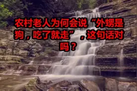 农村老人为何会说“外甥是狗，吃了就走”，这句话对吗？视频封面