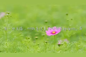 有一种幸福，叫做有你真好，句句说的痛彻心扉