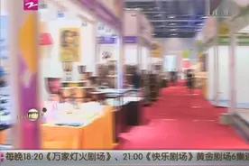 第十九届西博会今天开幕 门票全免费视频封面