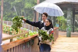 李沁的男朋友是谁是杨洋吗 《我们相爱吧》魏大勋遭李沁嫌弃图片