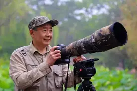 王辉摄影作品欣赏图片