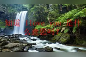 知道 Ilove you 是什么意思吗？