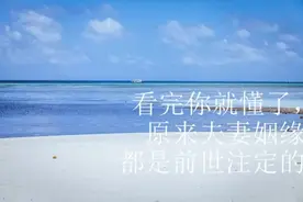 看完你就懂了，原来夫妻姻缘都是前世注定的？视频封面