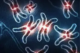 专家讲糖邢小燕：如何根据化验结果判断糖尿病的类型？图片