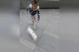 这个小女孩牵的是什么狗？我也想买一只
