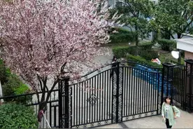 我的涉外时代图片