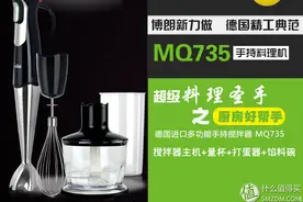 BRAUN 博朗 MQ735 搅拌棒（附做的一些奶昔）图片