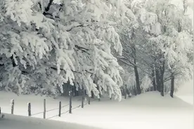 事到如今终於让自已属於我自己