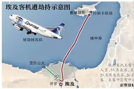 埃及客机被劫事件人质获释疑犯被捕图片