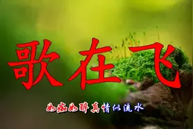 听了一遍又一遍，还是听不够！苏勒亚其其格《歌在飞》