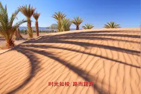 《卓依婷-伙伴》敞开你的一扇门哪