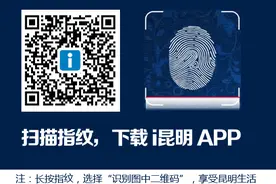 是要闹哪样？小蜜蜂不采花蜜“霸占”加油站图片