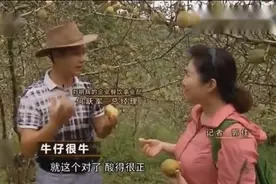 云南小伙养牛，却种植出品牌咖啡，现在已经身价过亿视频封面