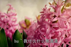 梦飞船曾火遍大街小巷，这首歌经典回味！视频封面