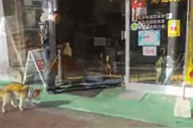 一家配锁中心特地设置了犬用自动门按钮，狗狗也有了自己的职业！图片