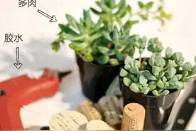 这些别致有趣的花器，简单几步就能实现图片