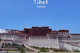 西藏人都爱用iphone,居然是因为这个原因图片