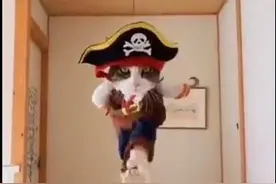 让你们见识下什么是真正的猫步图片