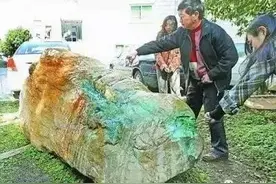 拾荒老汉捞出天价"翡翠原石"，富豪叫价8000万图片