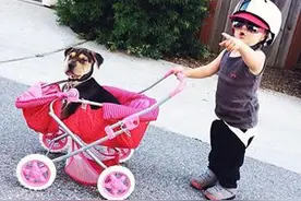 当宝宝遇上狗狗会擦出怎样的笑料？一组萌娃和狗狗间的有趣对话！图片