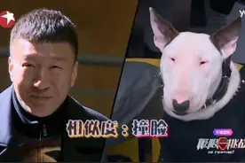极限挑战中与孙红雷撞脸的狗，其实更像林永健——怪异杀手牛头梗图片