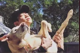 唱《童话》的光良改行当画家了？简单几笔，便画出泰迪熊萌爪！图片
