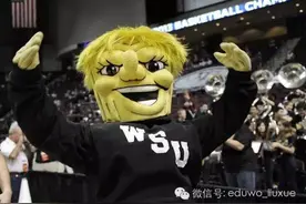 吐槽：美国大学那些“惊世骇俗”的吉祥物们图片