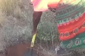 夫妇澳洲旅行时遇到当地土著，结果请他们吃的东西让人不寒而栗！图片