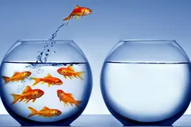 胡一刀：微信公众号截流技术如何使用？在新规则下图片