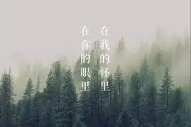 刚听完第一句，自己就静下来了。图片
