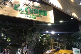 独家探秘 | 风靡日本的宫崎骏主题店来了！里面到底卖些啥？图片