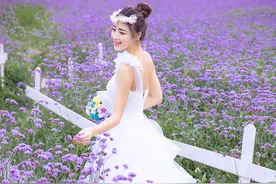 北京哪里拍婚纱照好？北京婚纱摄影工作室推荐：薰衣草花海婚纱照图片
