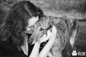 你生命中有狗狗陪伴的十五年，却是它们的一生！图片