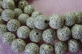 警惕！菩提作假一览细则图片