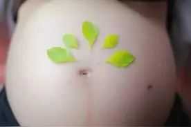 趣孕！孕妇照还可以这样拍1图片