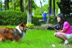 宠物心理学：人和狗狗相处的5个趣味研究图片