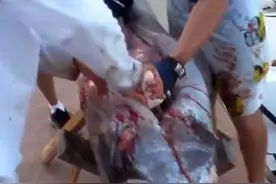 海上捕获巨型鱼类剖开其肚后，男子竟然获得意外收获！图片