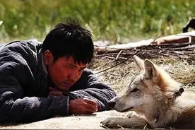 狗狗到底该不该笼养？看完这篇文章你就知道了图片