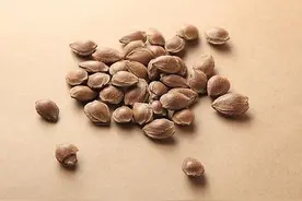 南杏仁和北杏仁，到底有啥区别？图片