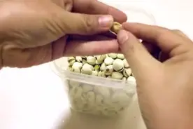 开心果受潮不脆了？这个方法解决视频封面