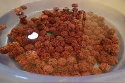 金刚菩提子的盘玩与保养图片