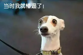 发现男友还留有前任的物品和照片 你会怎么办？图片