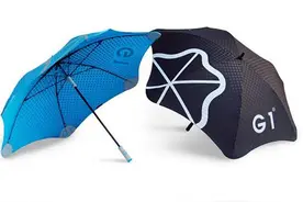 颜值超高的雨伞，房子刮跑了它都没事儿据说还不怕闪电图片