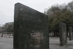部队的四百米障碍，不难吧图片