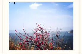 只愿世间风景千般万般熙攘过后，字里行间，人我两忘，相对无言。图片
